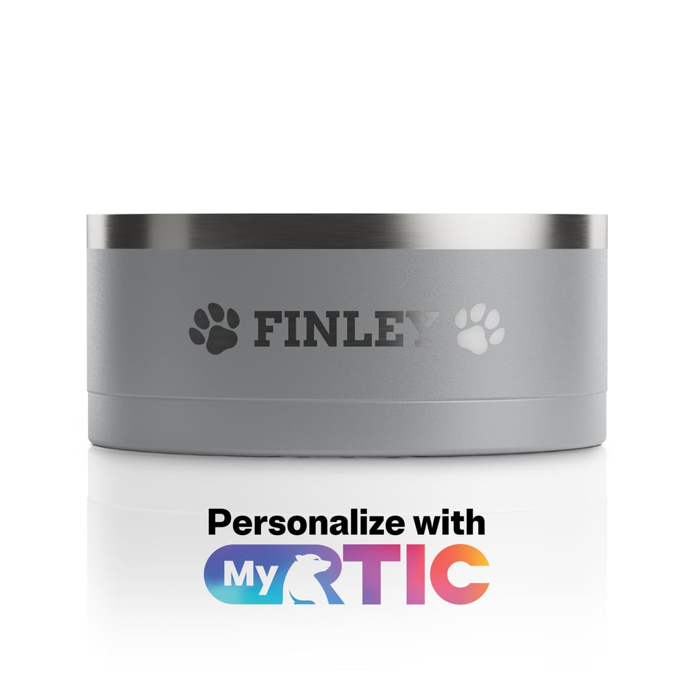 Small graphite dog bowl with the name Finley and paw print illustrations engraved on it.
