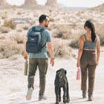 15 Can Lightweight Backpack Cooler, Black Image