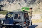 45 QT Ultra-Tough Cooler, Palm Image