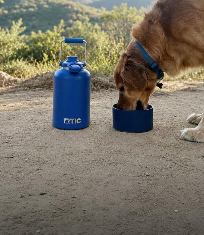 Blue RTIC water jug beside a brown dog drinking from a matching blue bowl outdoors.