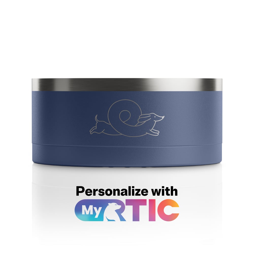 Small navy dog bowl with a stylized dog illustration engraved on it.