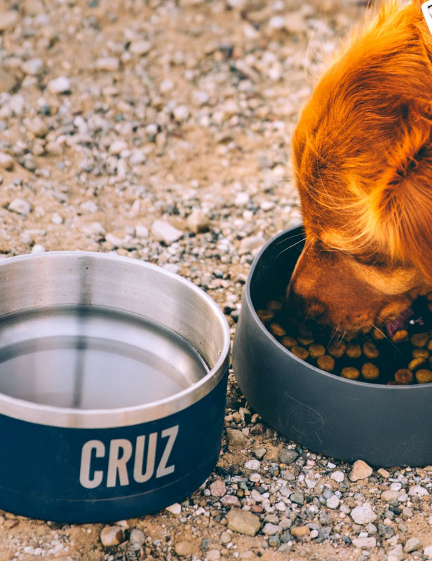 Versatile 3-in-1 Dog Bowl for Every Adventure | RTIC
