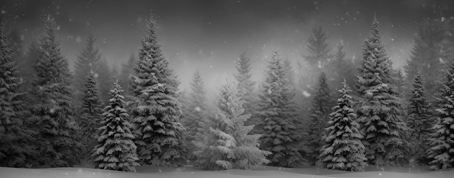 test - Cyber Monday Sale