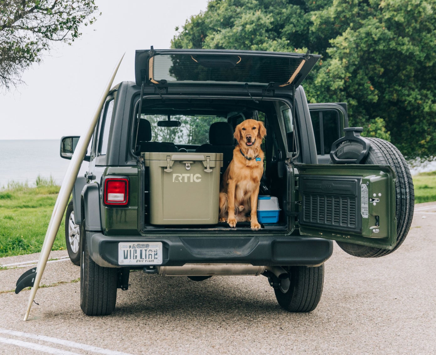 A dog sitting next to a green RTIC Wheeled Cooler in the back of a Jeep.